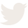 Twitter edls icon logo